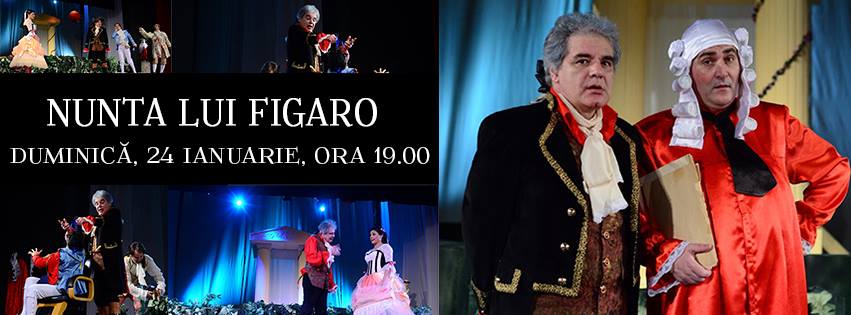 Premium Business WordPress Theme